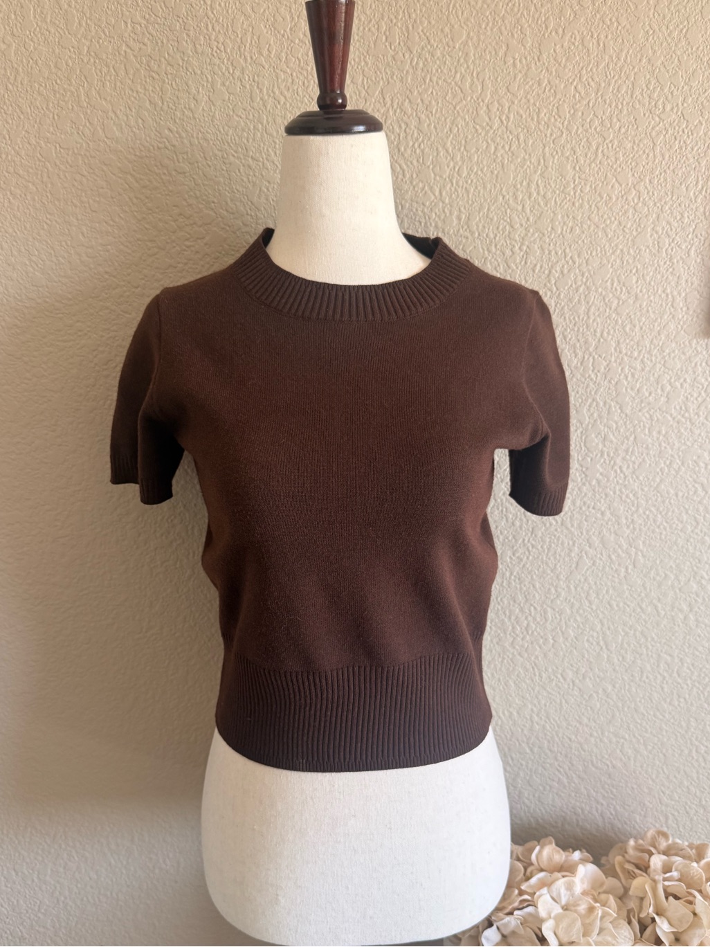 Classic Brown Short-Sleeve Women's Sweater